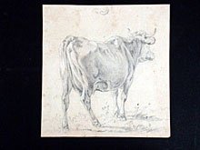 Hampel Friedrich Voltz  1817 N�rdlingen -  1886 M�nchen