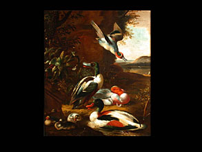Hampel  S.Adriaan Coorte,  t�tig zwischen 1683 - 1707  in Middelburg