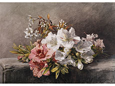 Hampel Geraldine Jacoba van de Sande Bakhuyzen, 1826 – 1895