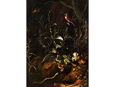 Hampel  Otto Marseus van Schrieck,  
1619 Nimwegen - 1678 Amsterdam, zug.
