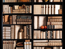 Hampel Wei�e Bibliothek