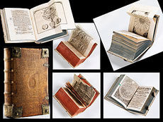 Hampel Wei�e Bibliothek