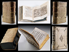 Hampel Wei�e Bibliothek