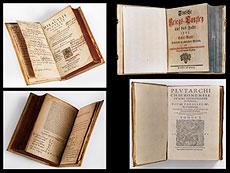 Hampel Wei�e Bibliothek