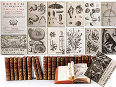 Hampel Eine dekorative Bibliothek  mit mehr als 900 pr�chtigen Einb�nden  des 17. und 18. Jahrhunderts  A decorative library  with more than 900 sumptuously bound books  from the 17th and 18th centuries