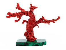 Hampel Roter Korallenbaum